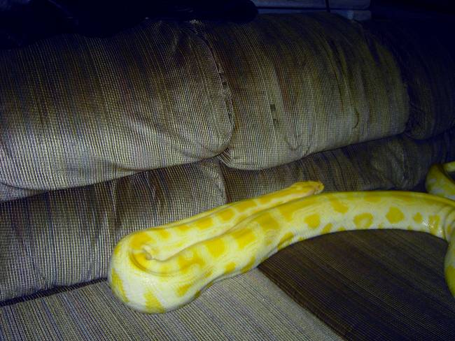 Girl-on my couch